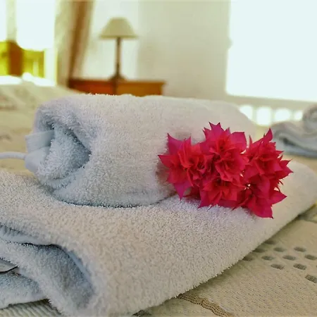 Dafni Villa